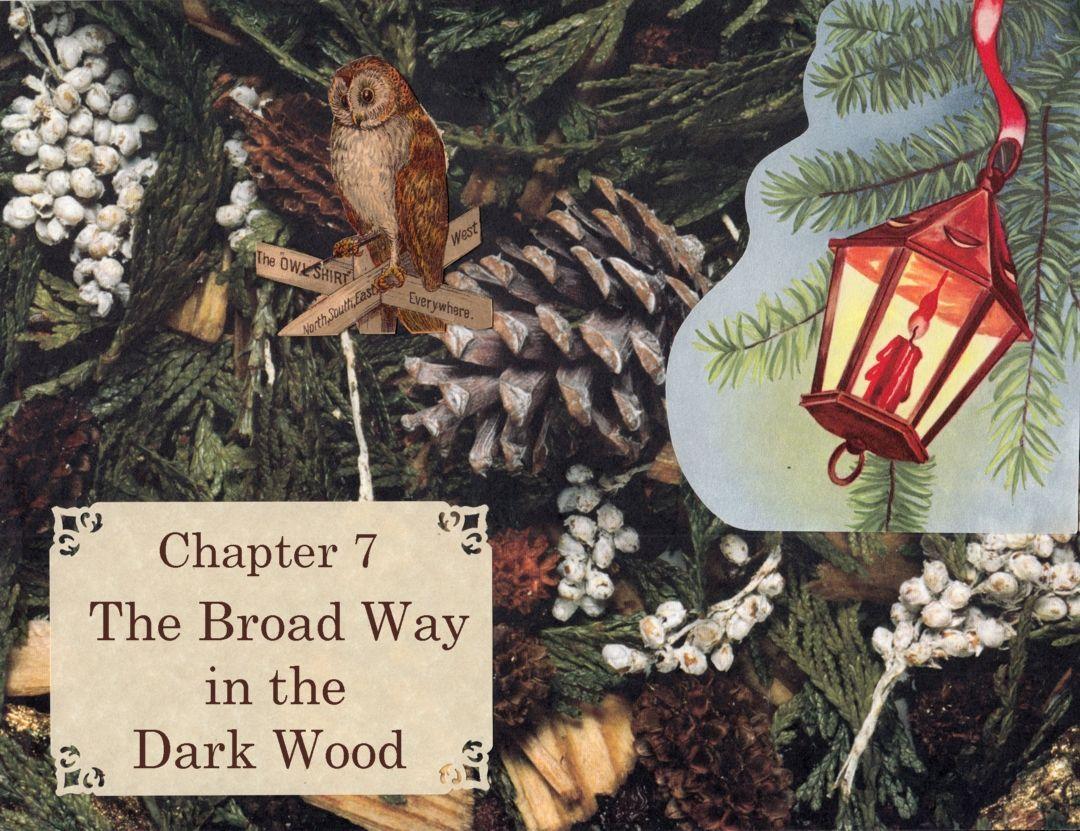 The Broad Way in the Dark Wood 1 image number 0