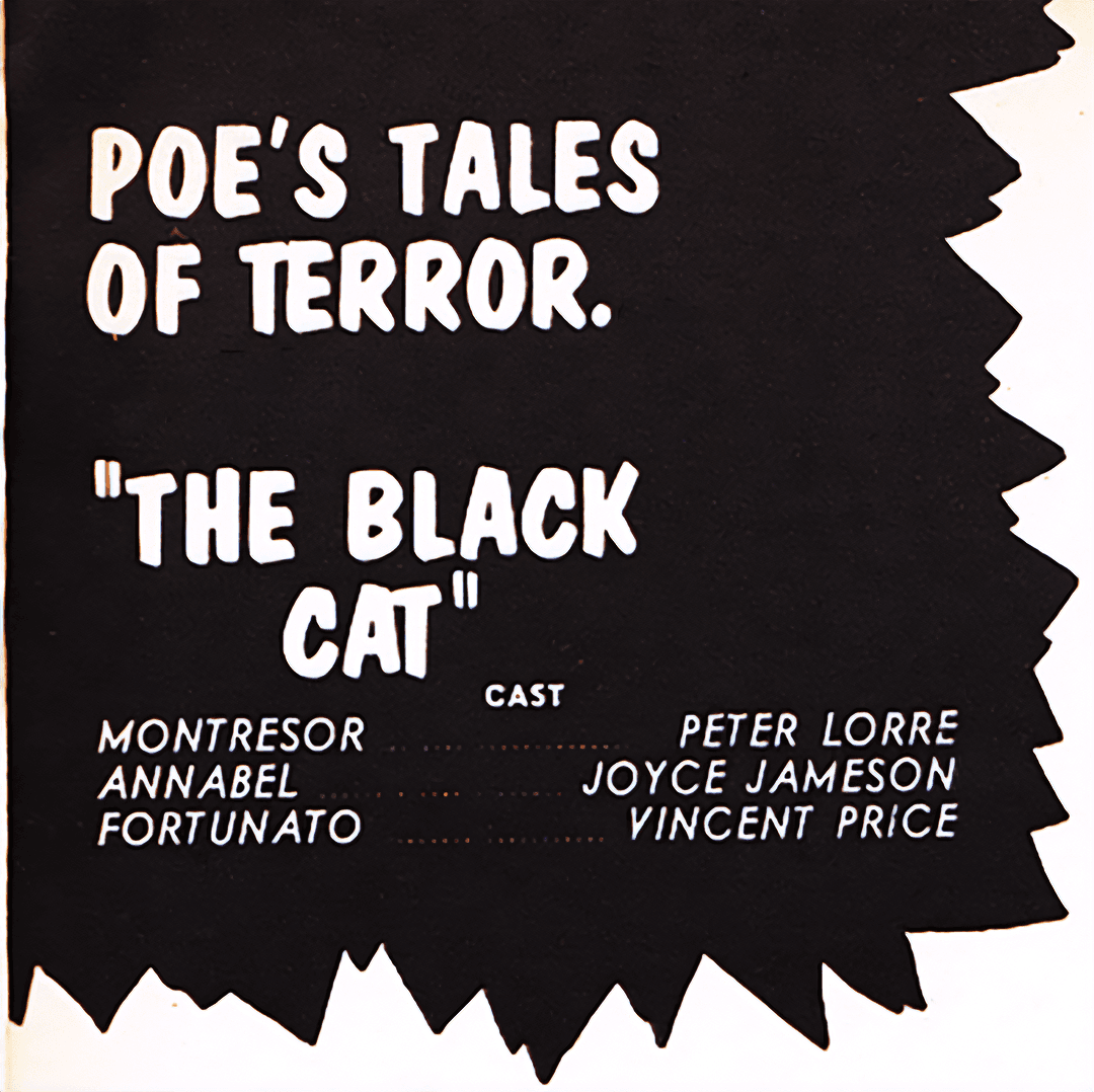 Poe's Tales Of Terror #2 The Black Cat image number 3