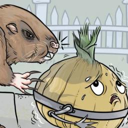 Onions & Gophers episode cover