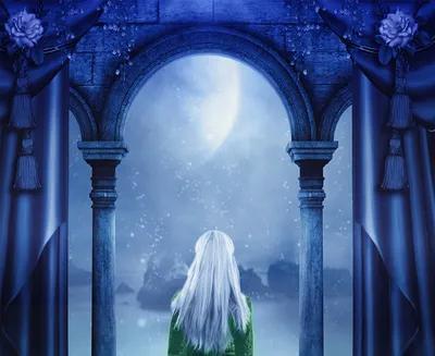Fairy Door series cover