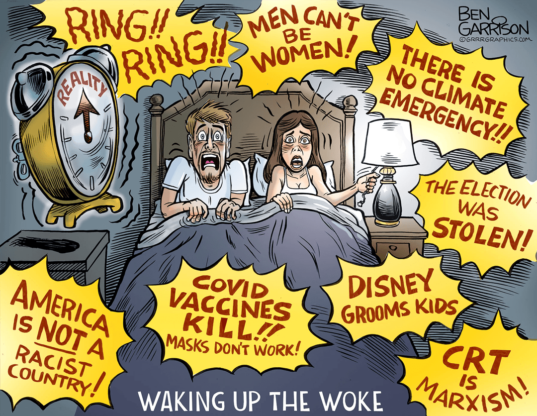 Waking the Woke image number 0