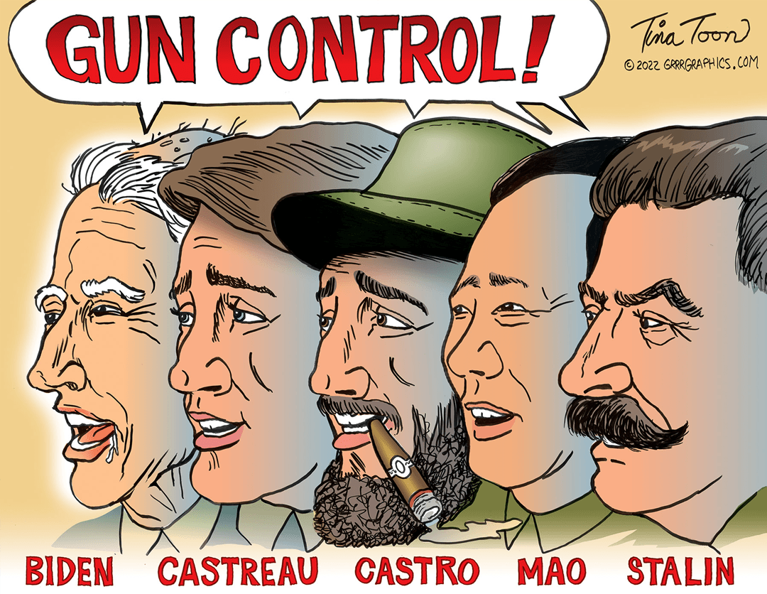 Gun Control image number 0