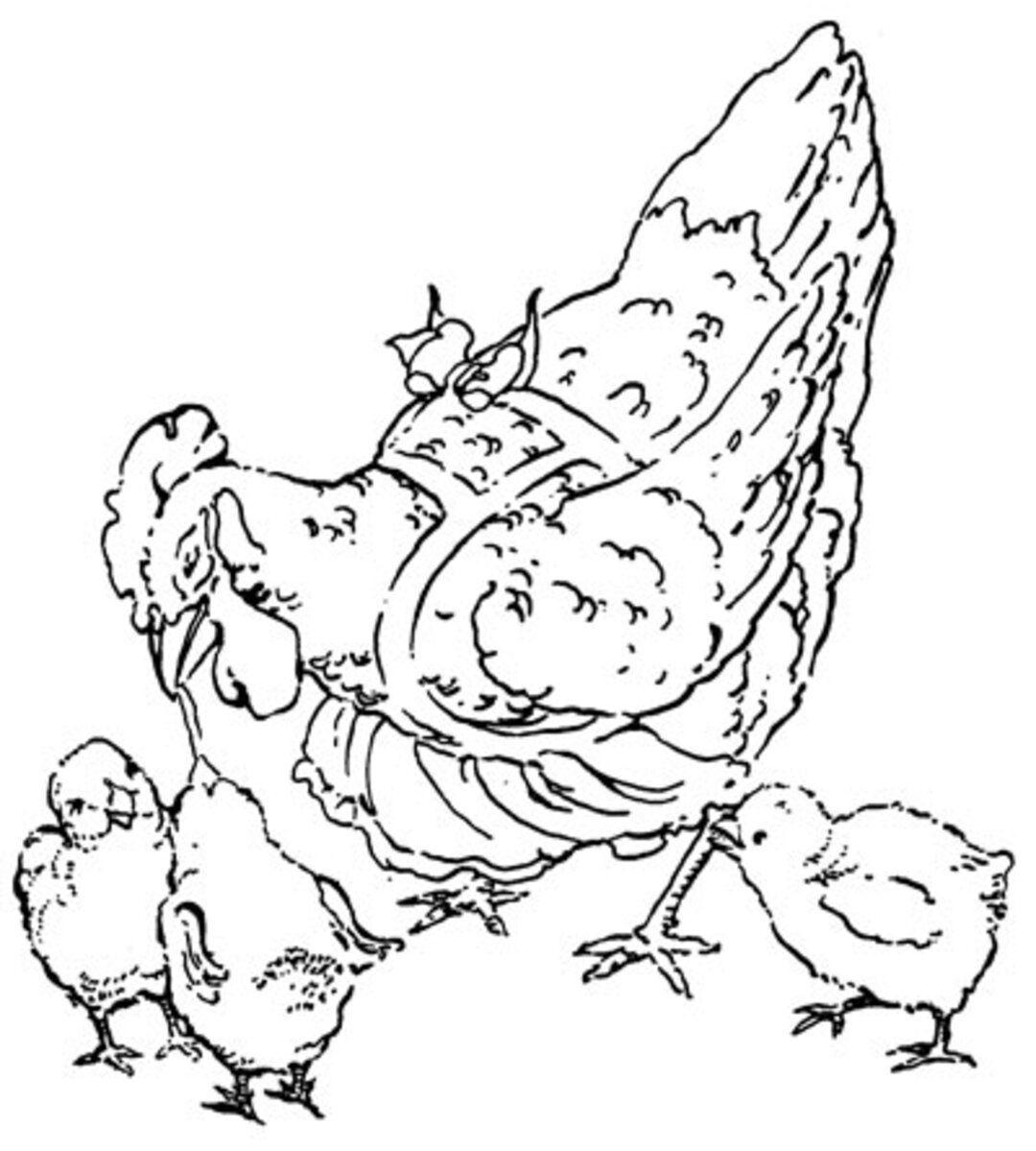 The Little Red Hen #1 image number 7