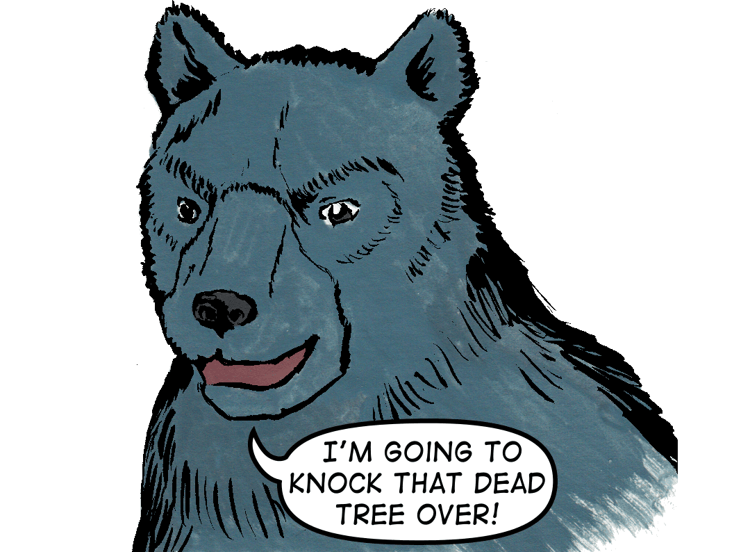 A Bear's One Weakness image number 7