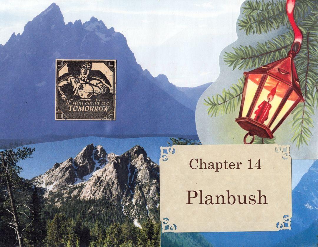 Planbush 1 image number 0