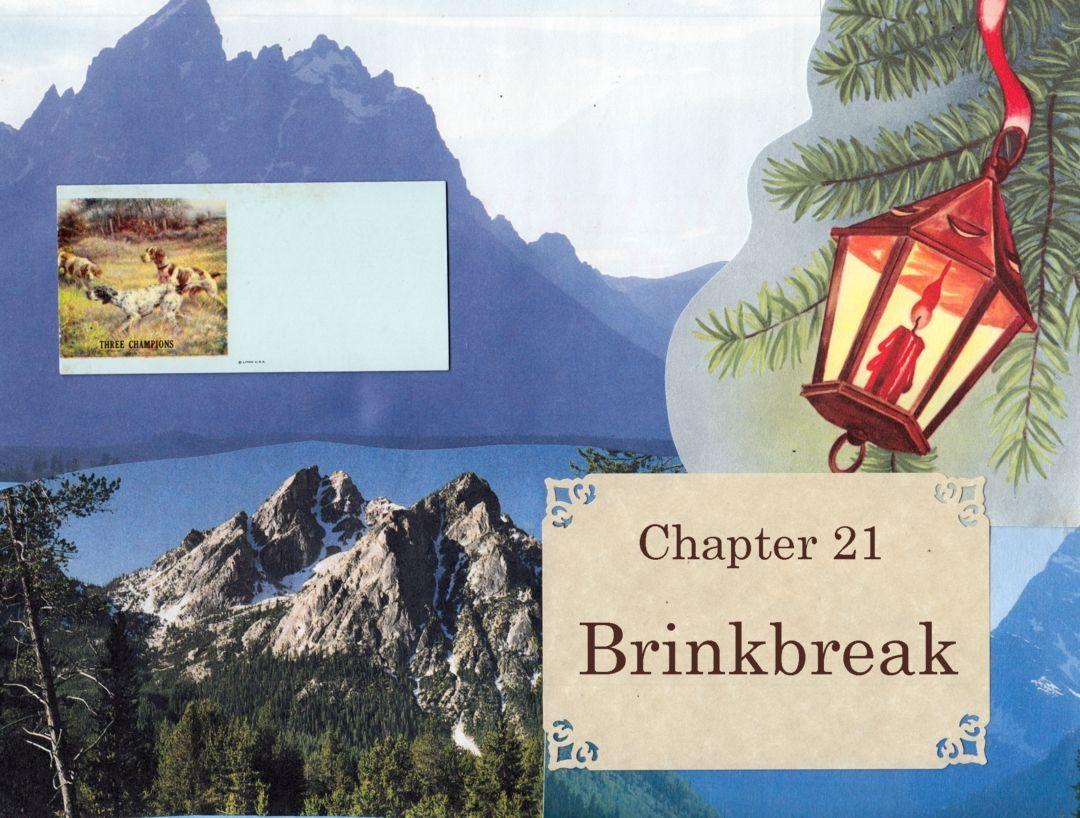 Brinkbreak 1 image number 0
