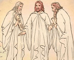 The Transfiguration cover art