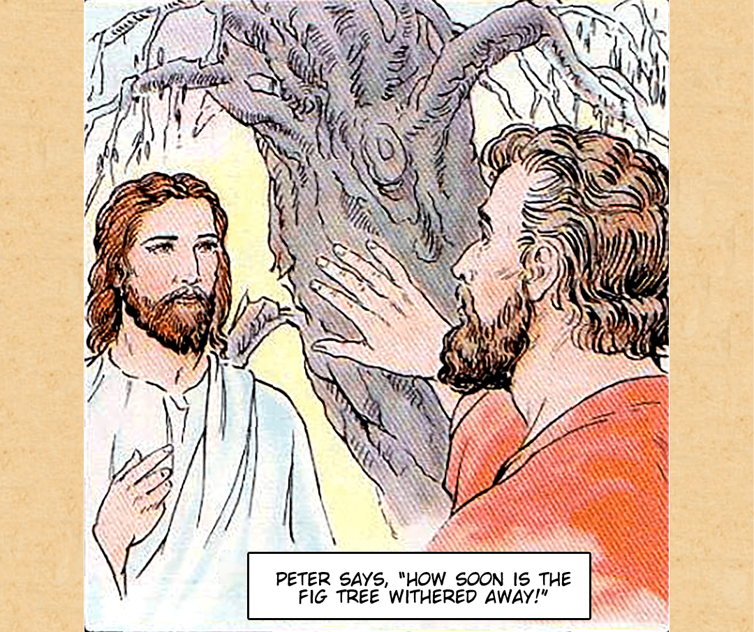 Cursed Fig Tree image number 4